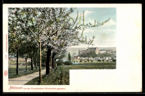 AK Meissen, Stadt von der Proschwitzer Windmühle gesehen