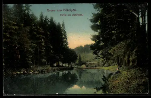 AK Böhrigen, Partie am Wehrteich