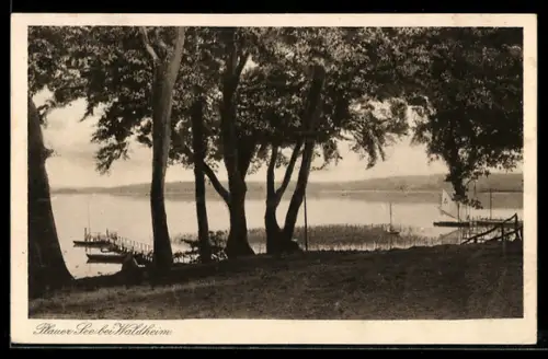 AK Plau am See, Am Waldheim, Plauer See
