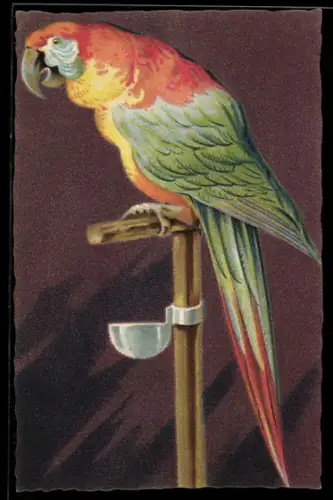 AK Papagei auf einer Stange