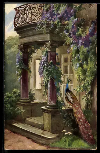 AK Pfau vor einem Gebäudeportal