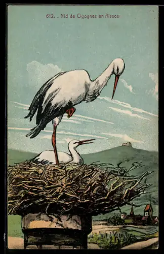 AK Nid de Cigognes en Alsace