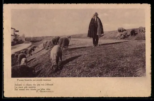 AK Pecore bianche sui pendii montani, Schafherde mit Schäfer