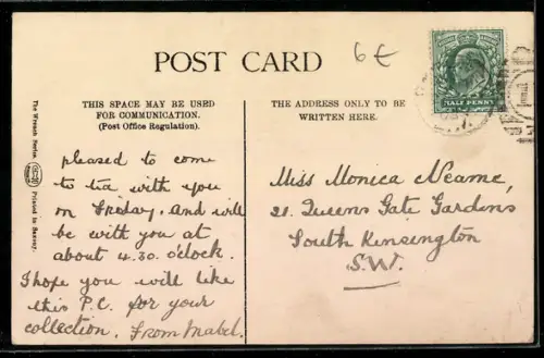 AK Scotch Collie, Portrait