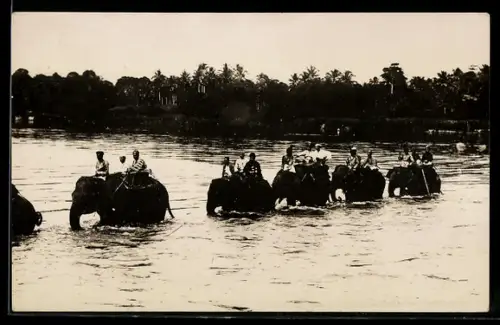 AK Elefanten-Karawane mit Reitern durchquert einen Fluss