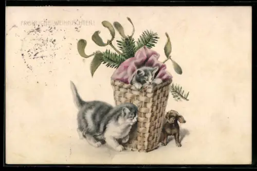 AK Katzenmutter und junger Dackel belauern sich an einem Körbchen mit Katzenkind, Weihnachtsgruss