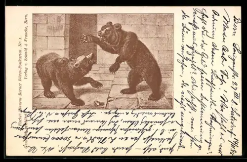 AK Bern, Bärengraben, Zwei Bären kämpfen
