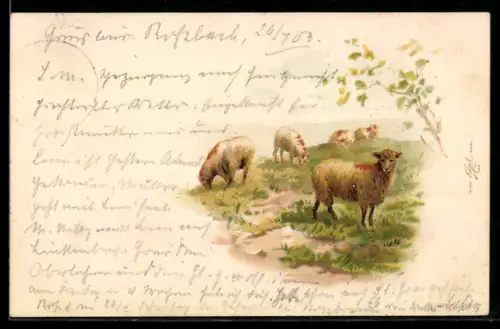 Lithographie Schafe auf einer Weide im Frühling