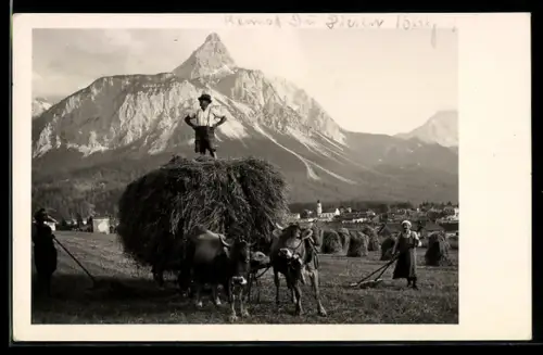 AK Tirol, Heuernte mit Ochsen-Gespann vor Bergspitze