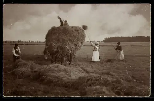Foto-AK Landarbeiter bei der Heuernte mit Ochsen-Gespann