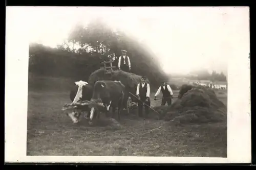 Foto-AK Drei Landarbeiter bei der Heuernte, Gespann