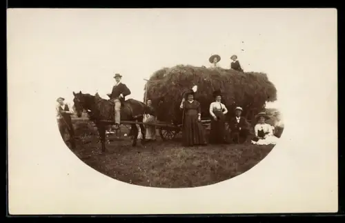 AK Ochsen-Gespann mit Heu und festlich gekleidete Gesellschaft