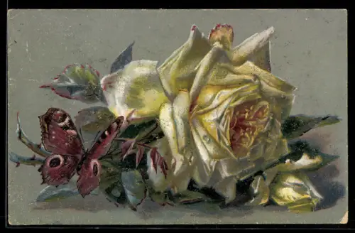 AK Pfauenauge neben einer Rosenblüte u. Knospe