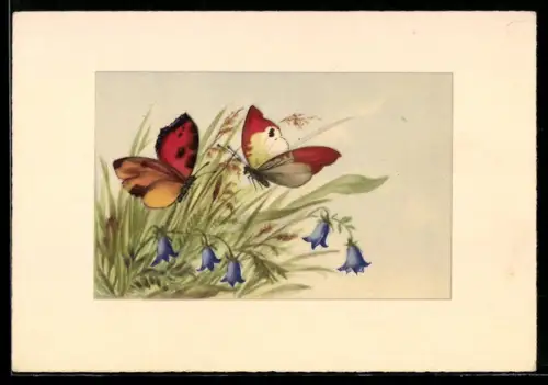 AK Zwei Schmetterlinge über Glockenblumen