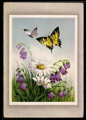 AK Zwei Schmetterlinge fliegen über eine Blumenwiese, Glockenblumen, Margeriten