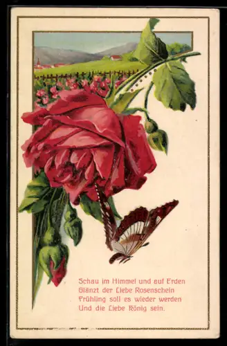 Präge-AK Rose mit Schmetterling, Frühlings-Idalle