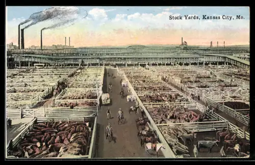 AK Kansas City, MO, Stock Yards, Viehzucht, Rinder