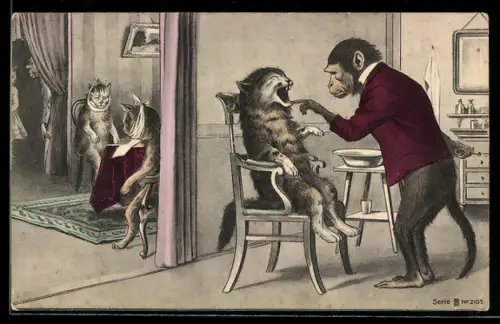 AK Katzen bei einem Affen, der als Zahnarzt fungiert
