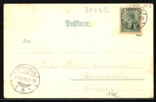 Lithographie Hameln, Blick in die Osterstrasse, Rattenfänger und Rattenfängerhaus