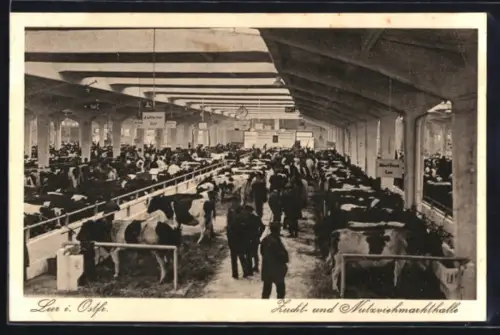 AK Leer i. Ostfr., Zucht- und Nutzviehmarkthalle, Innenansicht