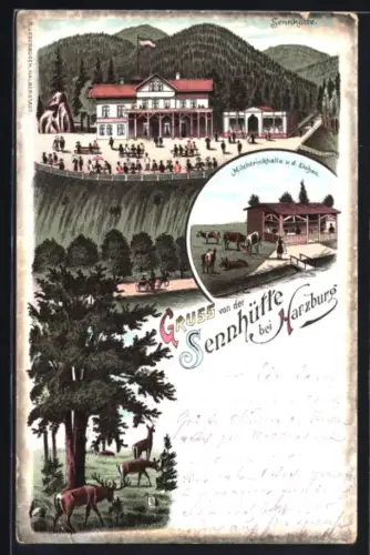 Lithographie Harzburg in Niedersachsen, Sennhütte, Milchtrinkhalle u. d. Eichen