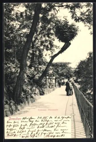 AK Dresden, Terrassen-Promenade