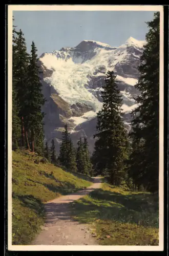 AK Wengen, Weg nach Mettlenalp, Jungfrau und Silberhorn