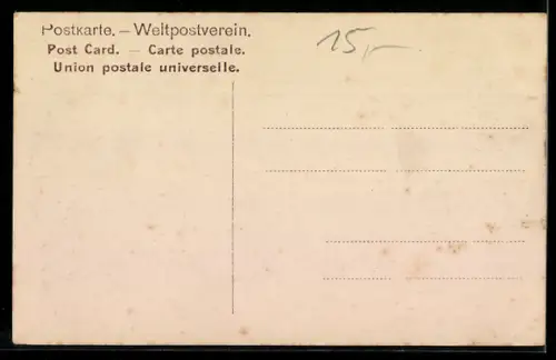 AK Burg Rheinstein mit Dampfer