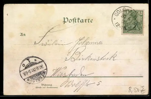 Lithographie Goethe im Porträt