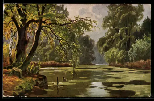 Künstler-AK Theo Stroefer Serie Nr.823: Vegetation im Frühjahr am Wasser