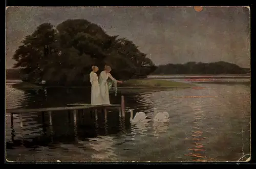 Künstler-AK sign. H. Slott-Moller: Schwäne, Dänische Kunst