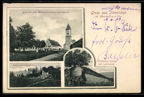 AK Illereichen, Kiebeck`sche Schlossbrauerei mit Garten, partie vom Schlossberg, 700jährige Linde mit Laubgang