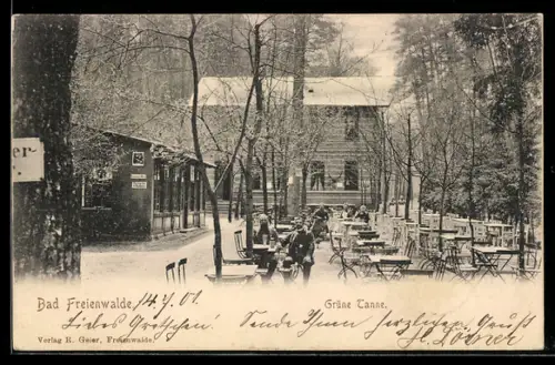 AK Bad Freienwalde, Gasthof Grüne Tanne mit Garten