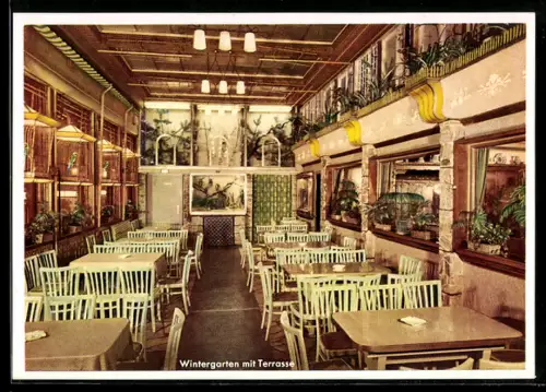 AK Alt-Frankfurt, Eis-Café WiPra, Neue Kräme 27, Café der Tierfreunde, Wintergarten mit Terrasse, Terrarium