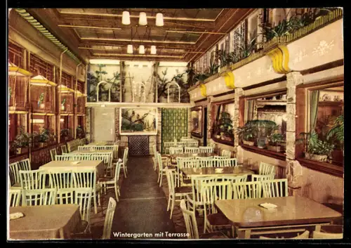 AK Alt-Frankfurt, Eis-Café WiPra, Neue Kräme 27, Café der Tierfreunde, Wintergarten, Terrasse, Terrarium