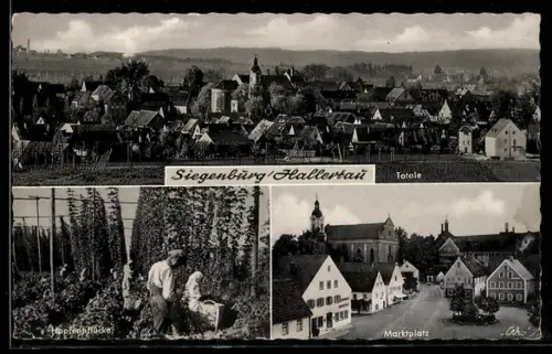 AK Siegenburg /Hallertau, Totale, Hopfenpflücker, Marktplatz