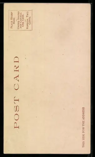 AK An Embryonic Warrior