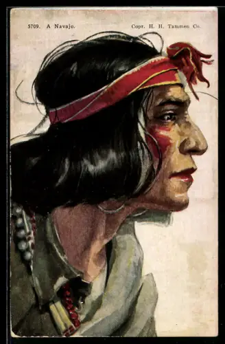 AK Profile of a Navajo