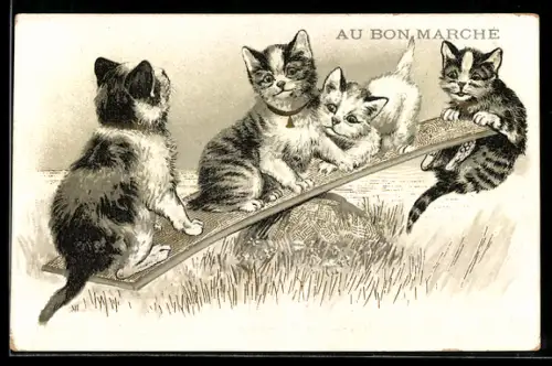 Vertreterkarte Paris, Magasins de Nouveautés, Strassenansicht mit Geschäften, Süsse Katzen auf einer Wippe