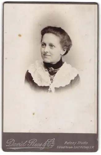 Fotografie David Rees & Co, London, Grand Parade 5, Porträt einer Dame