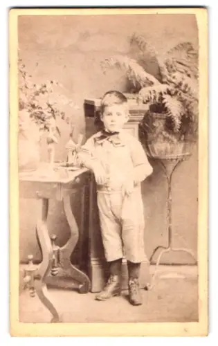 Fotografie M. Heslop & Co., Christchurch, Colombo St, Charles R. Heydorch mit vier Jahren