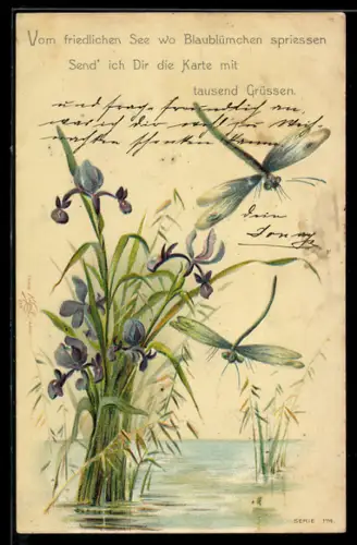 Lithographie Blaue Lilien und Libellen über einem Gewässer