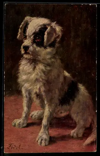 Künstler-AK Weisser Terrier in sitzender Position