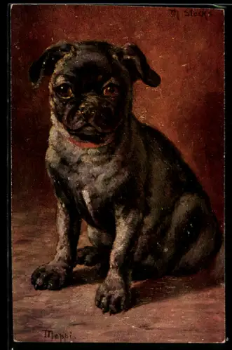 Künstler-AK Mops mit treuem Blick