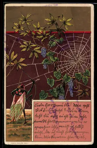 Lithographie Fliege versucht mit Pfeil u. Bogen, Früchte aus einem Spinnenetz zu bergen