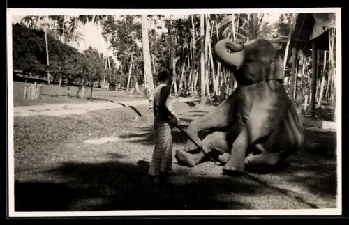 Foto-AK Sitzender Elefant mit Führerin