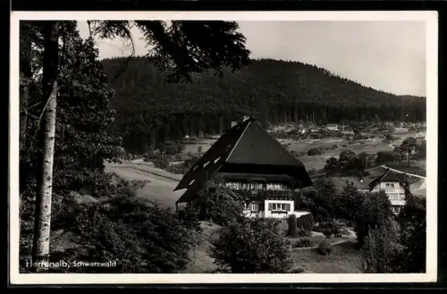 AK Herrenalb /Schwarzwald, Mönchs Posthotel, Landschaft