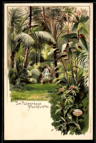 Lithographie Frankfurt-Westend, Palmenhaus, Innenansicht mit tropischen Pflanzen und Wasserfall