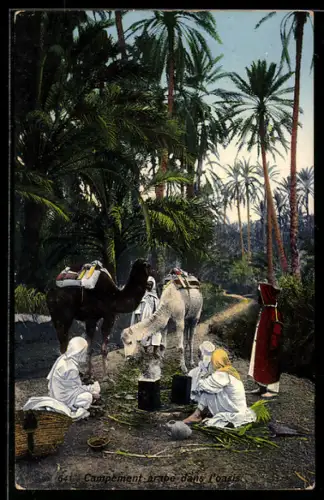 AK Campement arabe dans l`oasis, arabische Volkstypen