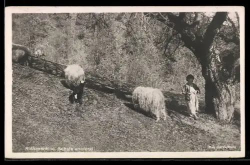 AK Ruthenenkind mit Schafen